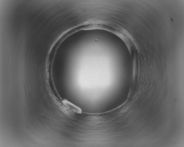 X0000071941124200607071137