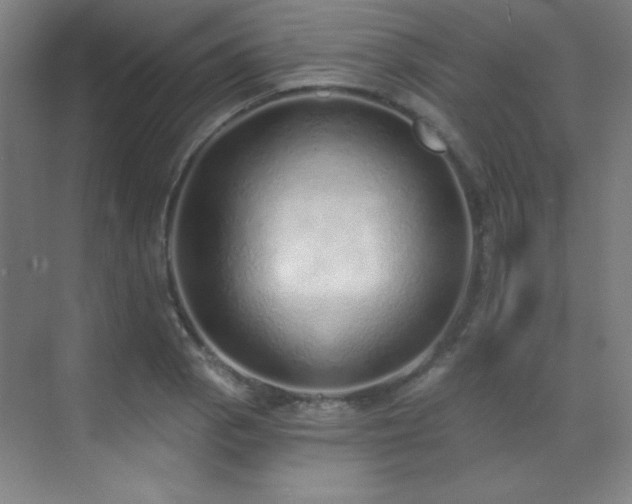 X0000071941129200607071137