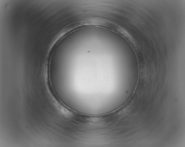 X0000071941130200607071137