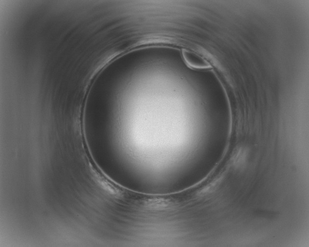 X0000071941137200607071137