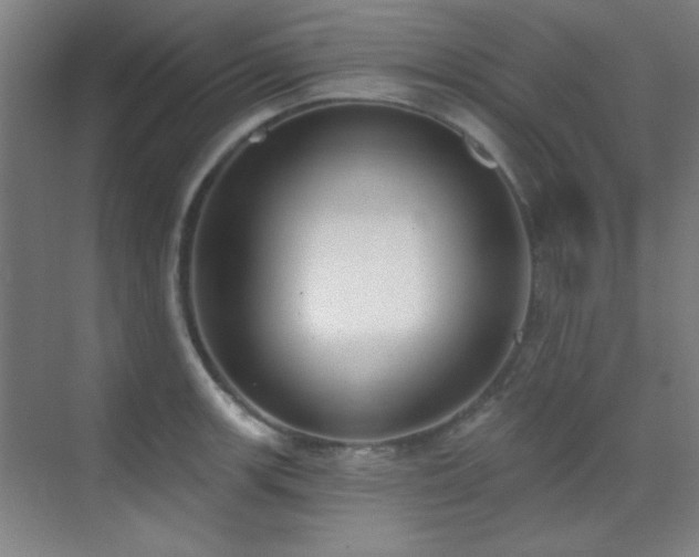 X0000071941139200607071137