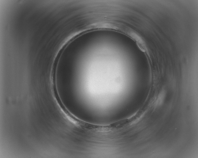 X0000071941141200607071137