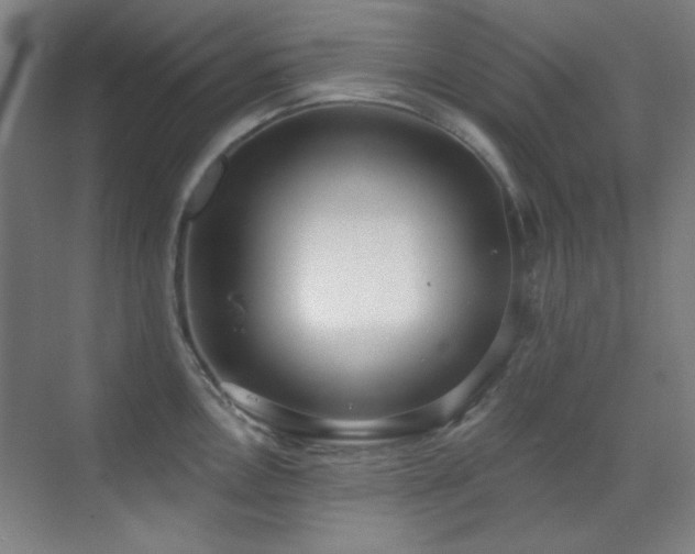 X0000071941146200607071137