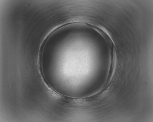 X0000071941147200607071137