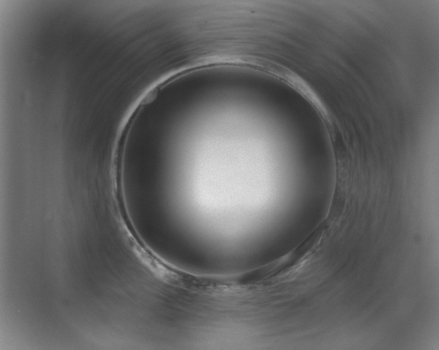 X0000071941148200607071137