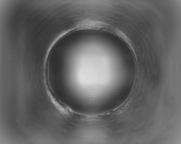 X0000071941152200607071137