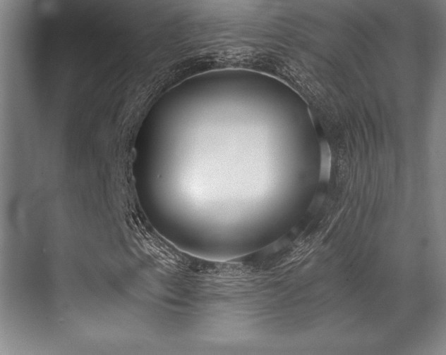 X0000071941153200607071137