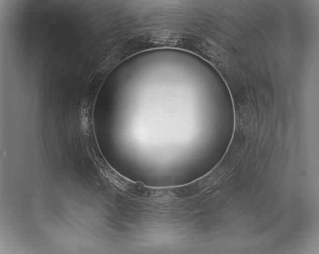 X0000071941154200607071137