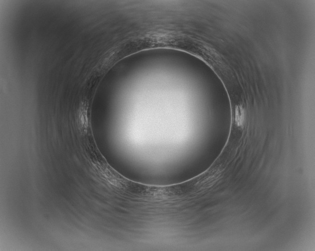 X0000071941155200607071137