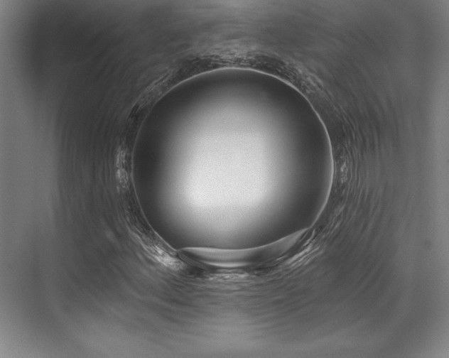 X0000071941156200607071137