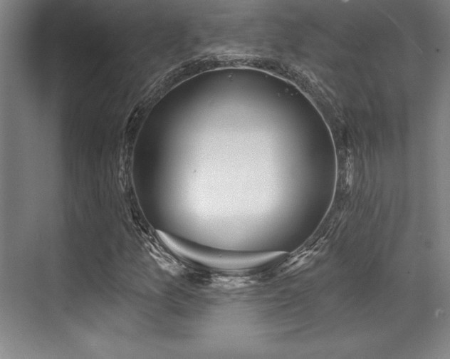 X0000071941157200607071137