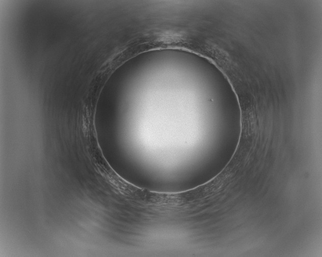 X0000071941158200607071136
