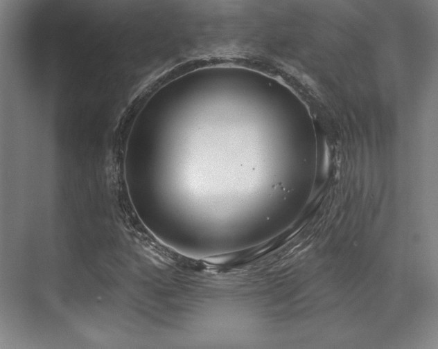 X0000071941160200607071136