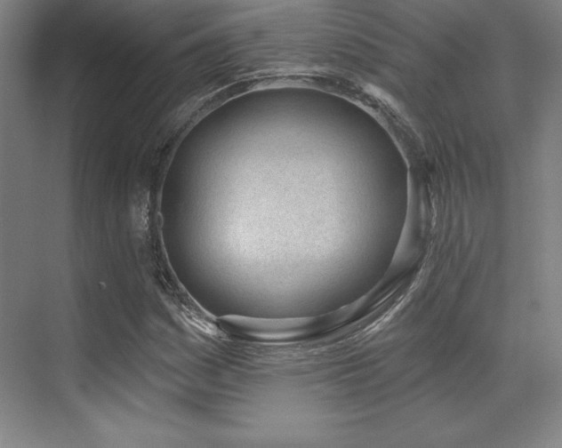 X0000071941161200607071136