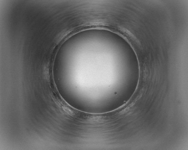 X0000071941162200607071136