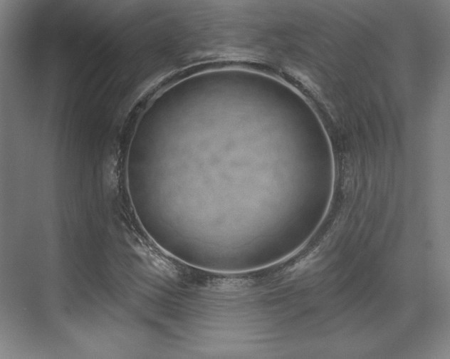 X0000071941163200607071136