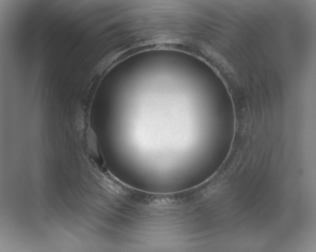 X0000071941169200607071136