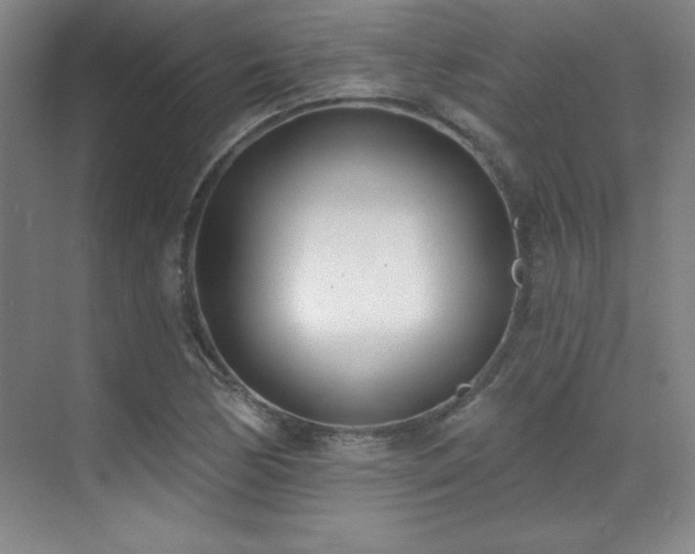 X0000071941170200607071136