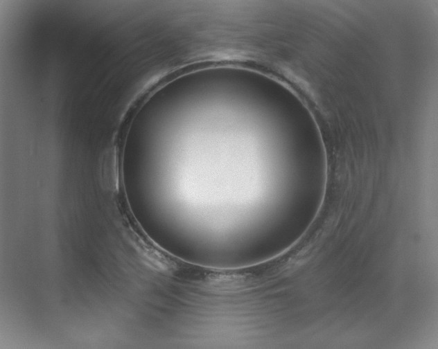 X0000071941171200607071136