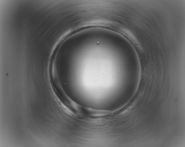 X0000071941180200607071136
