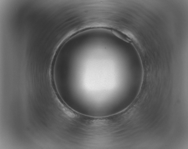 X0000071941181200607071136