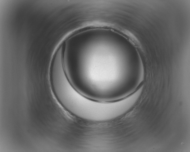 X0000071941183200607071136