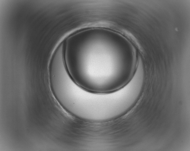 X0000071941184200607071136