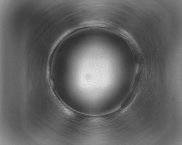 X0000071941188200607071136