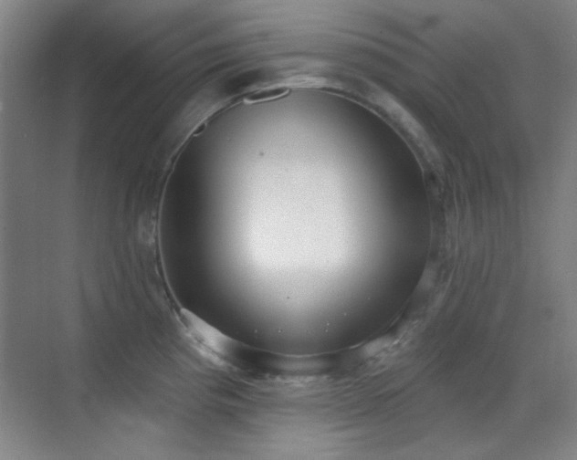 X0000071941193200607071136
