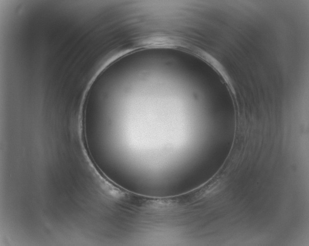 X0000071941195200607071136
