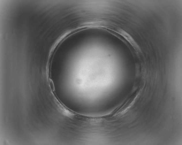 X0000071941196200607071136