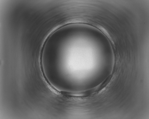 X0000071941197200607071136