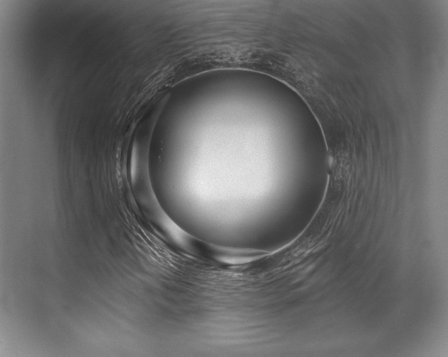 X0000071941202200607071135