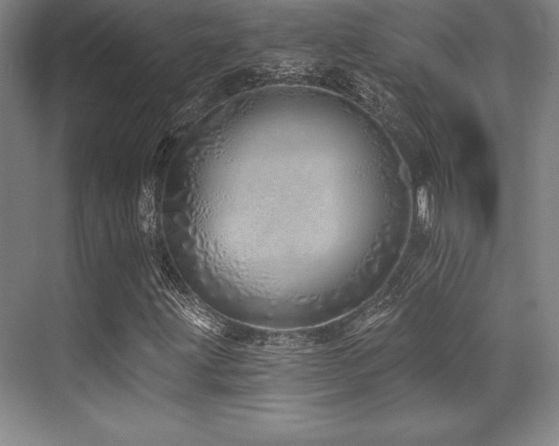 X0000071941203200607071135