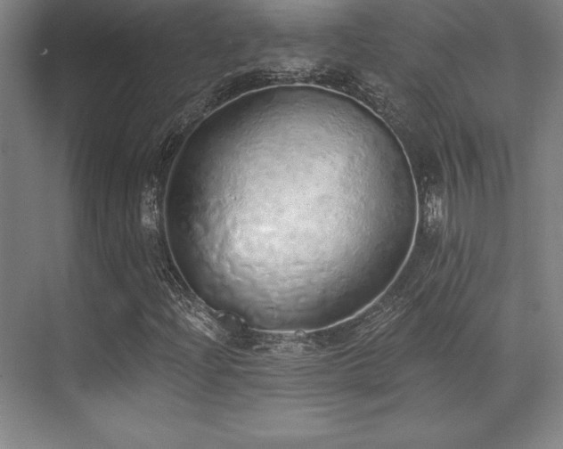 X0000071941204200607071135