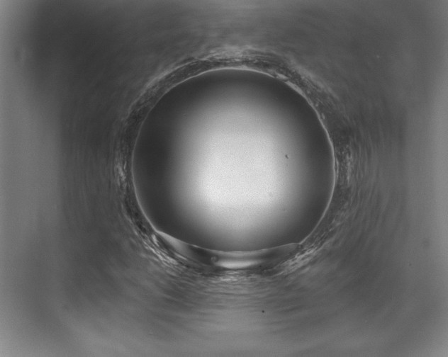 X0000071941206200607071135