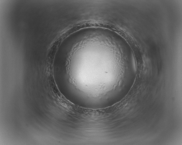 X0000071941207200607071135