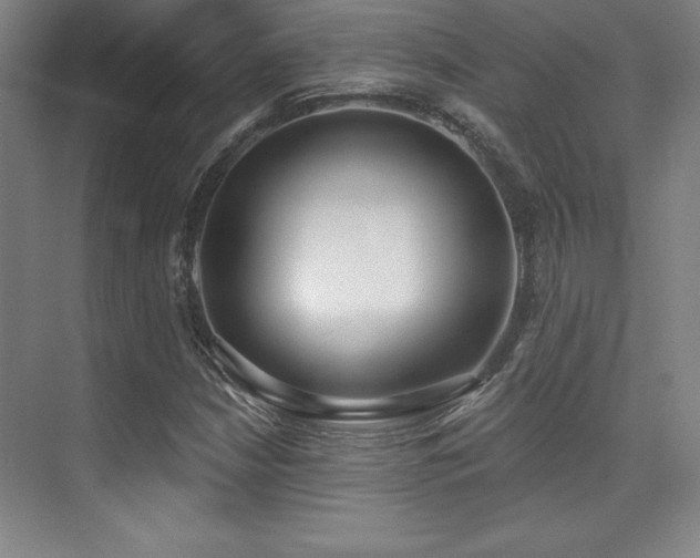 X0000071941210200607071135