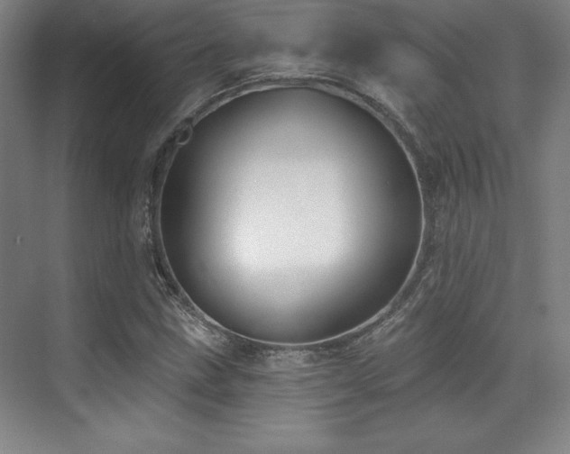 X0000071941211200607071135