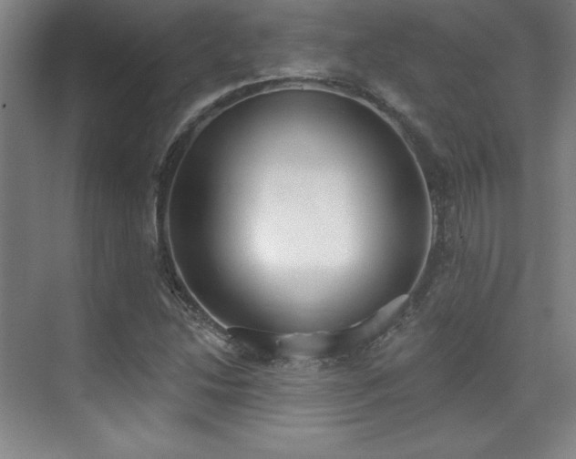 X0000071941214200607071135