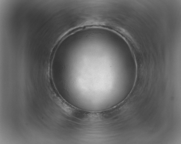 X0000071941220200607071135