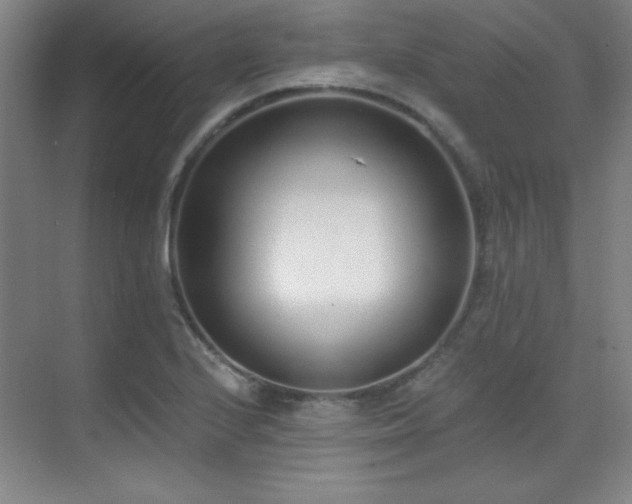 X0000071941224200607071135
