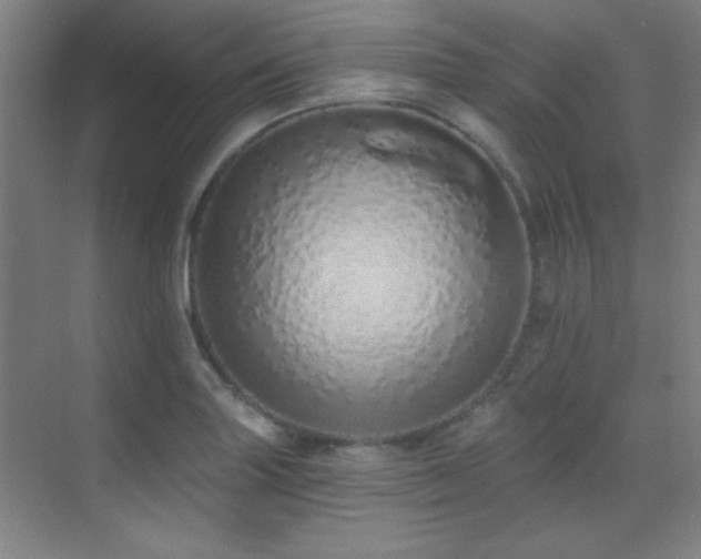X0000071941227200607071135