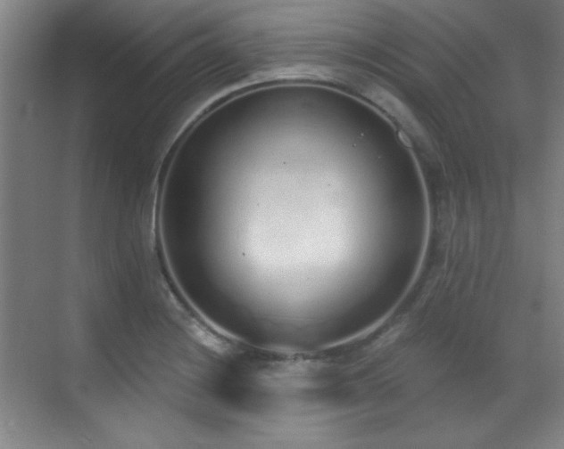X0000071941228200607071135