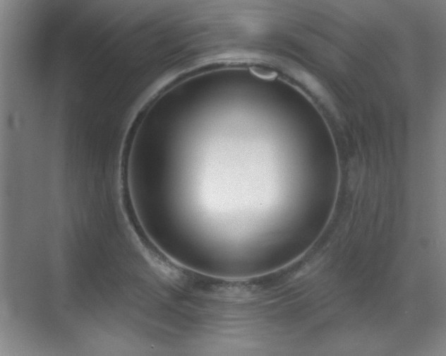X0000071941229200607071135