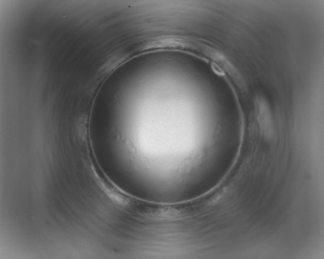 X0000071941233200607071136