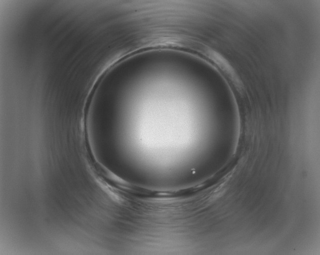 X0000071941234200607071136