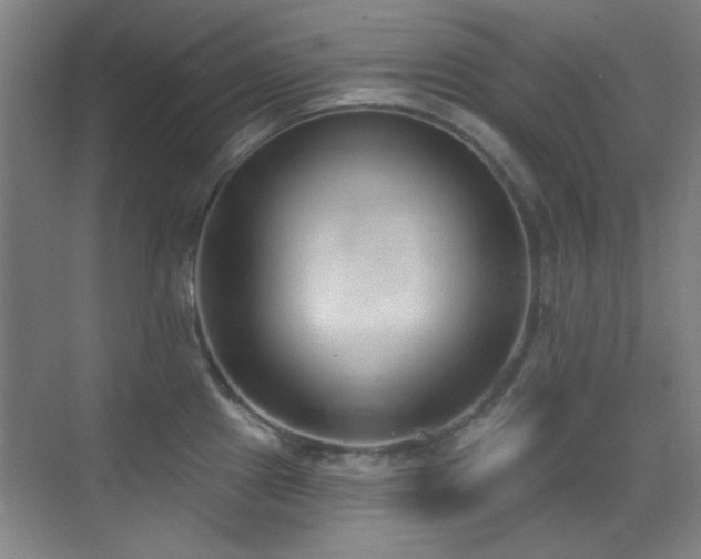 X0000071941241200607071136