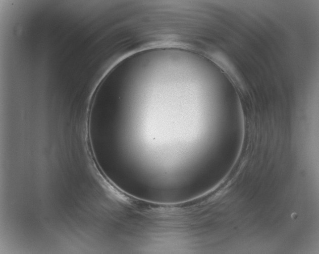 X0000071941244200607071136