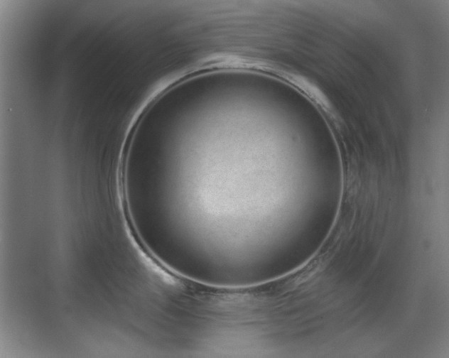 X0000071941247200607071136